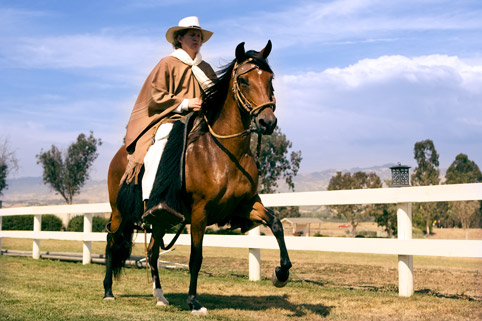 Image of Jr Soy del Peru