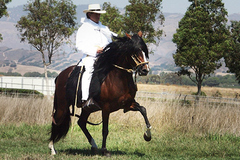 Image of Jr Soy del Peru