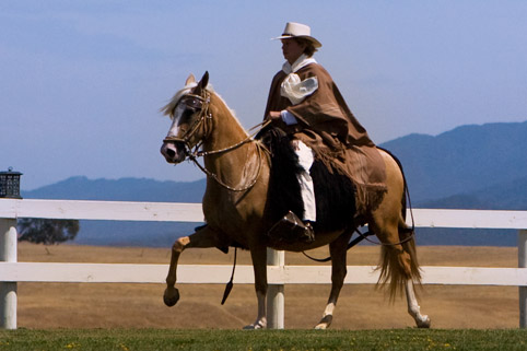 Image of Jr Soy del Peru
