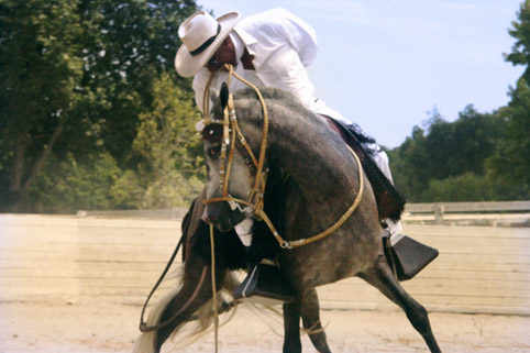 Image of Jr Soy del Peru